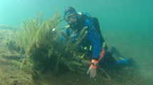 Imagen de Invitan a descubrir los secretos que esconde el lago Nahuel Huapi bajo el agua