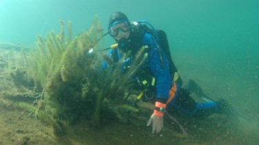 Invitan a descubrir los secretos que esconde el lago Nahuel Huapi bajo el agua