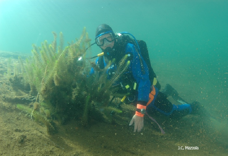 Las profundidades del lago Nahuel Huapi. Foto: gentileza