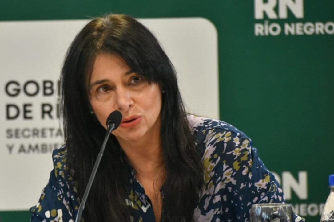 R&iacute;o Negro redefine sus puertos para impulsar las exportaciones energ&eacute;ticas