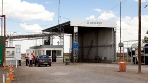 Evitá multas y demoras: qué alimentos no podés traer en el auto si viajás a la Patagonia este invierno 2026