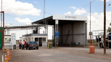 Evitá multas y demoras: qué alimentos no podés traer en el auto si viajás a la Patagonia este invierno 2026