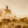Imagen de Las lluvias trajeron alivio al campo de Neuquén, aunque preocupan los índices de preñez y el parate comerical