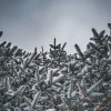 Imagen de Así amaneció el pueblo de la Patagonia que cada invierno se cubre de blanco al pie del volcán