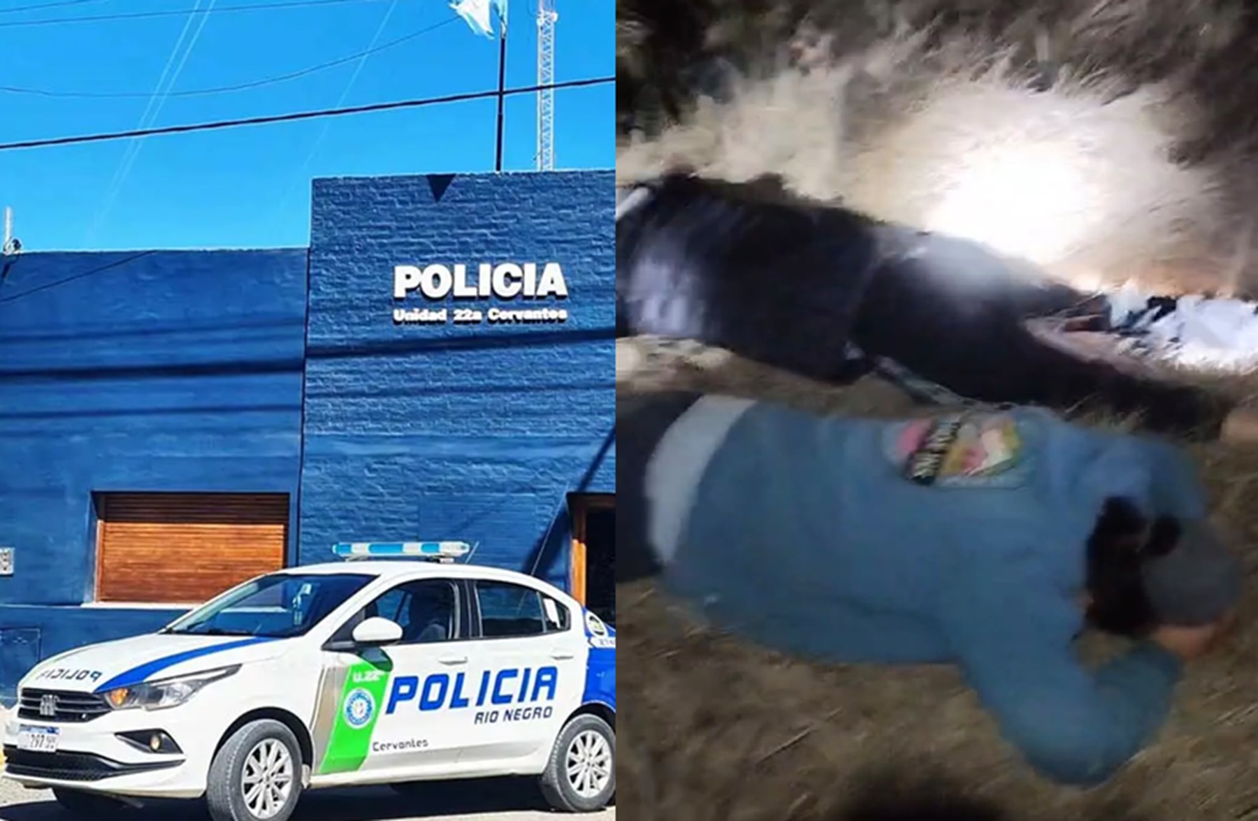 Detienen a sospechosos de abigeato en Cervantes tras un operativo en un campo