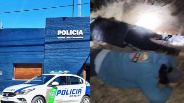 Abigeato en Cervantes: trabajadores atrapan a presuntos ladrones de animales que entraron en bote a un campo