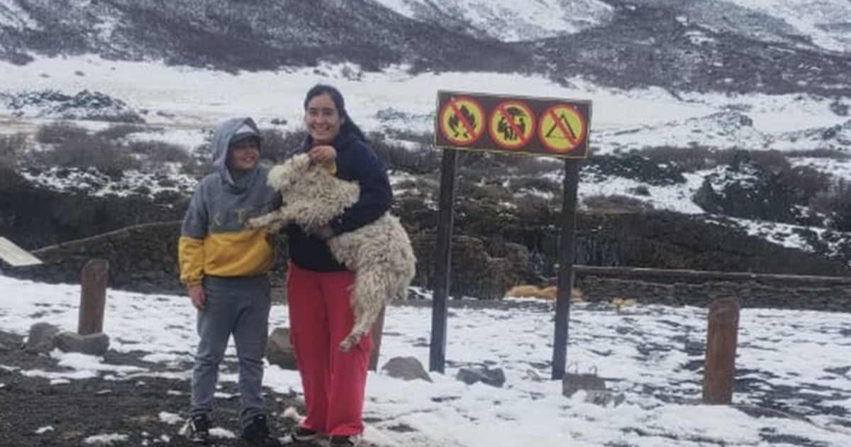 Final feliz para el chivito del Salto del Agrio: su familia lo encontró posando para los turistas