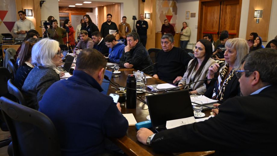 Comienza a funcionar la comisión especial participativa previa a la reforma de la Carta Orgánica de Bariloche. Fotyo: Chino Leiva