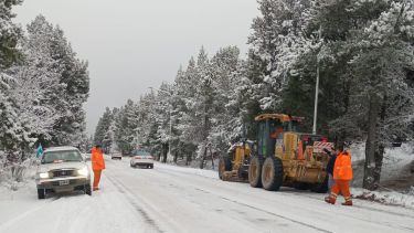 Precaución en las rutas de Neuquén por intensas nevadas: habilitaron Pino Hachado pero cerró otro paso a Chile este domingo 30