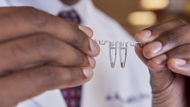 Un estudio ocultó la muerte de una niña china que recibió una terapia experimental de edición genética