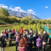 Imagen de Cosecha Invierno en El Bolsón: turismo cañamero y alimentación consciente en la Comarca Andina