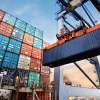 Imagen de Ranking de exportaciones argentinas: el producto que destronó a la soja y lideró las ventas al exterior