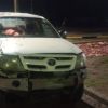 Imagen de Por una mancha de sangre en la Ruta 3, los atraparon con un puma y restos de 27 guanacos en Chubut