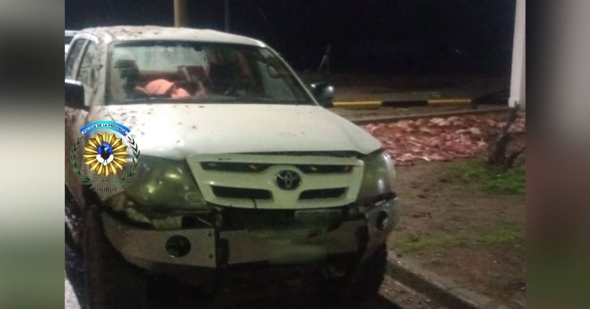 Cazadores ilegales atrapados con un puma y guanacos en Chubut