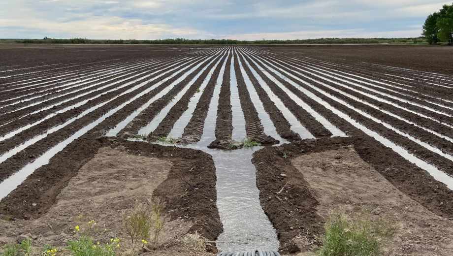 El agua de los ríos Negro, Neuquén y Limay se caracteriza por la baja salinidad.