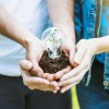 Imagen de Buscando una mejor educación ambiental