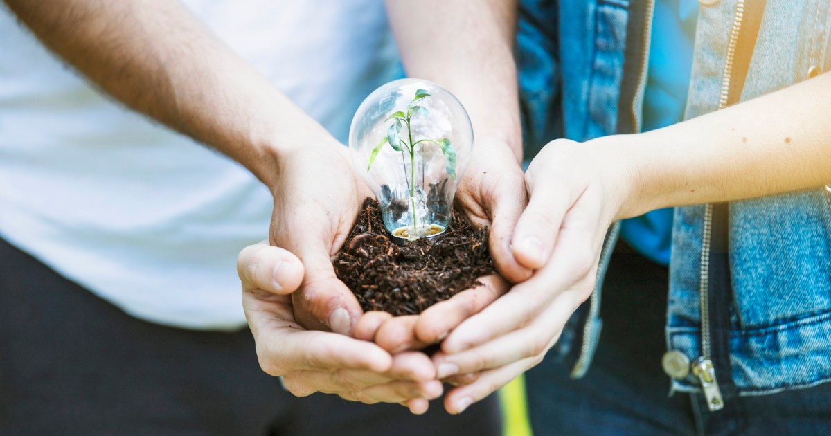 Promueven educación ambiental para el desarrollo sostenible