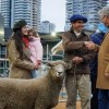 Imagen de Expo Rural de Palermo 2026: llegó "Tim Payne", el primer animal en ingresar a la exposición
