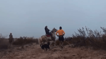 Imagen de Incidentes en la Doble Apolo en Roca: repudio de la organización y denuncia de la comunidad mapuche