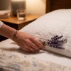 Imagen de Los beneficios de dormir con una hojita de lavanda debajo de la la almohada