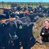 Imagen de “Pateó el tablero”, empezó de cero en la ganadería y en siete años llegó a 560 vacas madres en la Patagonia