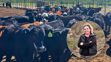 “Pateó el tablero”, empezó de cero en la ganadería y en siete años llegó a 560 vacas madres en la Patagonia