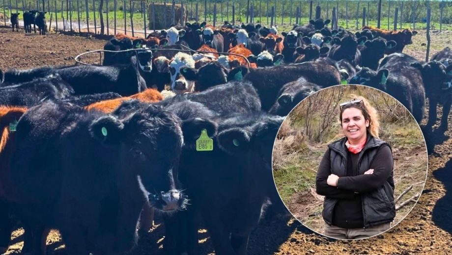 El campo principal se encuentra en Choele Choel a 120 kilómetros del secundario en Río Colorado. 