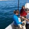 Imagen de "Quiero vivir en Argentina y en la Patagonia": el biólogo premiado que elige quedarse para "oír" el mar