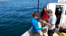 Imagen de «Quiero vivir en Argentina y en la Patagonia»: el biólogo premiado que elige quedarse para «oír» el mar