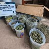 Imagen de Detienen a cuatro hombres que vendían droga en Cutral Co: tenían más de un kilo de marihuana y un arsenal