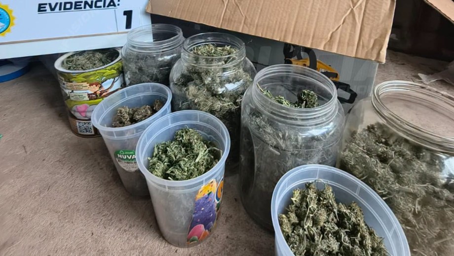 Detienen a cuatro hombres que vendían droga en Cutral Co: tenían más de un kilo de marihuana y un arsenal