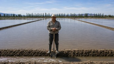 Ni una herramienta ni un camión: qué es un regador en el campo de la Patagonia