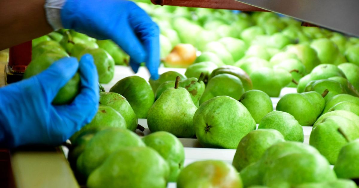 Río Negro busca ser un centro para el comercio digital de productos patagónicos