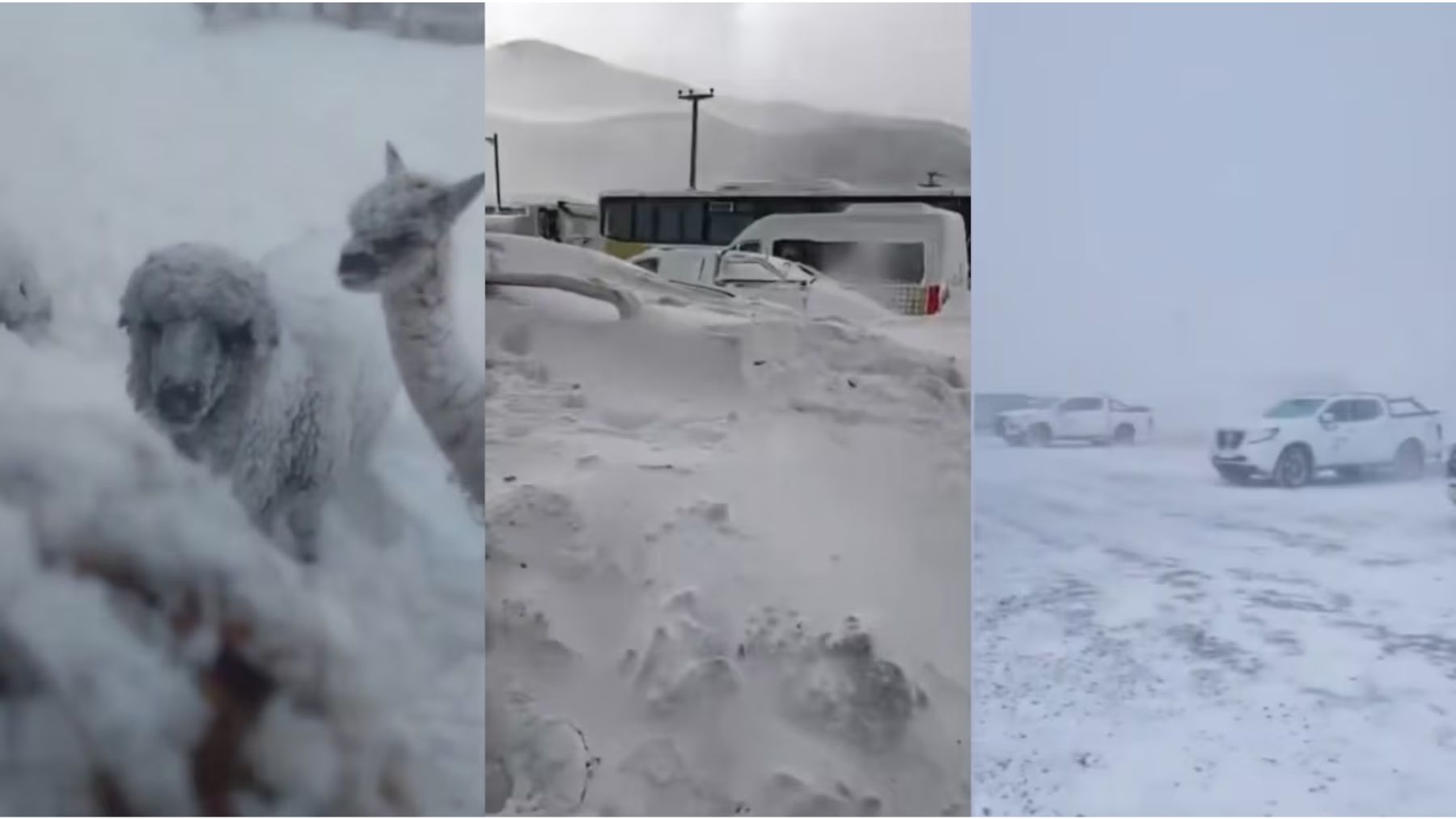 Histórico temporal en Catamarca: -27°C, rutas bloqueadas y un rescate extremo de mineros atrapados en la nieve
