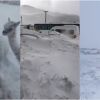 Imagen de Histórico temporal en Catamarca: -27°C, rutas bloqueadas y un rescate extremo de mineros atrapados en la nieve