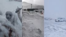 Imagen de Histórico temporal en Catamarca: -27°C, rutas bloqueadas y un rescate extremo de mineros atrapados en la nieve
