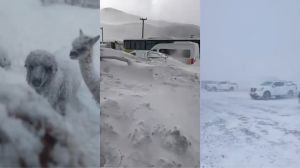 Histórico temporal en Catamarca: -27°C, rutas bloqueadas y un rescate extremo de mineros atrapados en la nieve