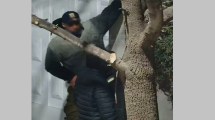 Imagen de Los filmaron y detuvieron en Neuquén: intentaban entrar a una casa y luego robarle los faros a una camioneta