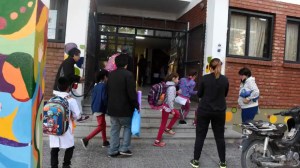 Presencia de murciélagos en la Escuela 168: las familias presentaron un amparo y el Consejo Escolar suspendió las clases por prevención