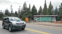 Imagen de Dos hombres fueron denunciados por un incidente en Mallín Ahogado que terminó con un caballo herido de bala