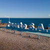 Imagen de San Antonio también es turismo: destino que se reinventa en invierno