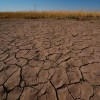 Imagen de El Niño: ¿qué puede esperar la Norpatagonia frente a un evento de gran intensidad?