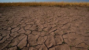 El Niño: ¿qué puede esperar la Norpatagonia frente a un evento de gran intensidad?