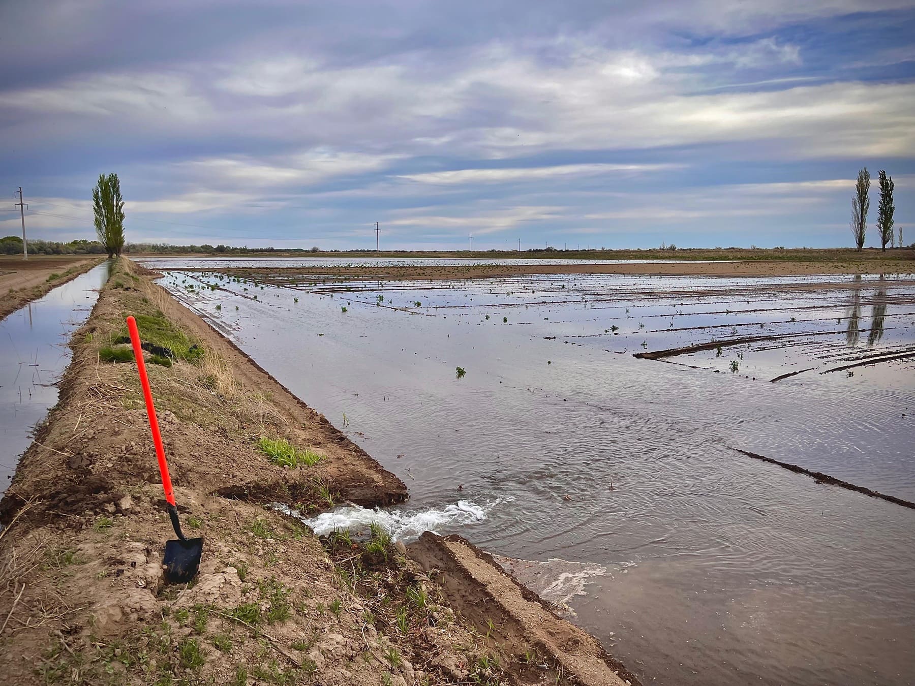 Agua, del canal a los lotes.