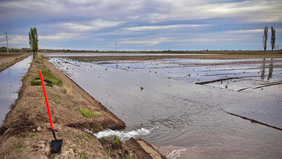 Agua, del canal a los lotes.