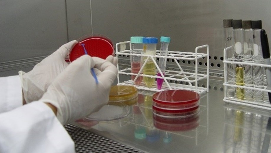 Trabajo de laboratorio realizado por el Instituto Nacional de Tecnología Agropecuaria (INTA).