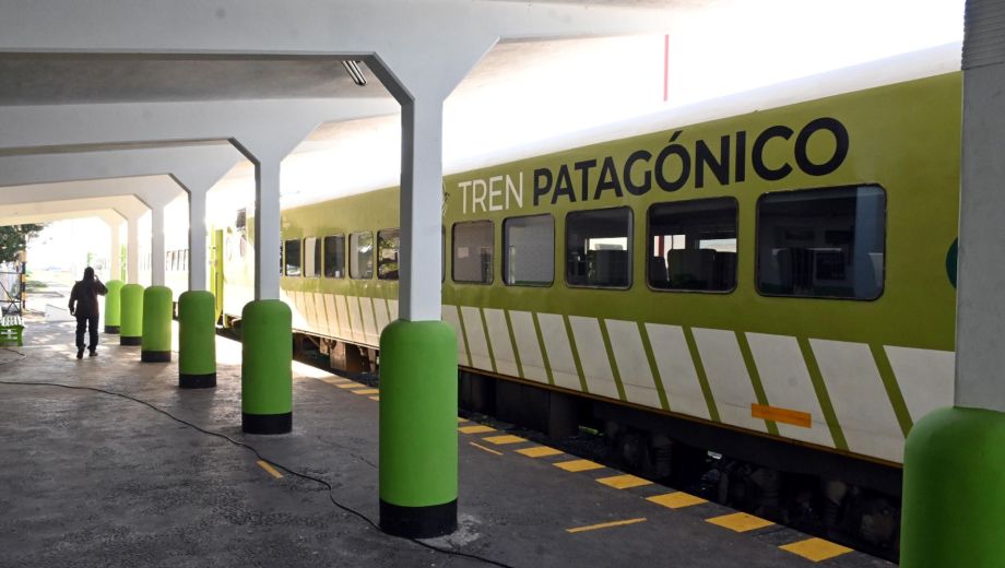 El Tren Patagónico que conecta la estepa y la cordillera vuelve a funcionar con salidas regulares los viernes y domingos entre Viedma-Bariloche. Foto: Marcelo Ochoa
