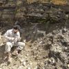 Imagen de Descubren dos nuevas especies de plantas que vivieron en Río Negro hace 20 millones de años