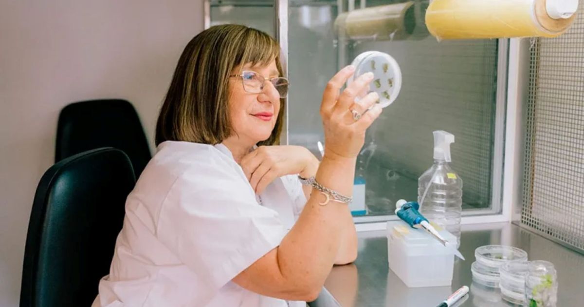 Convocatoria 2026 para el Premio L’Oréal-UNESCO y CONICET para científicas