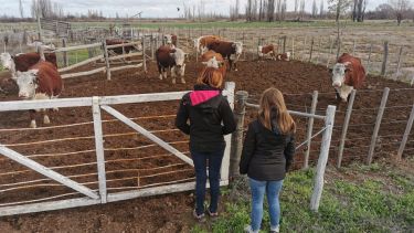 Dos estudiantes francesas participan de un intercambio educativo en escuelas agrotécnicas de Río Negro
